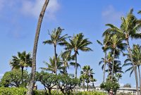 Grand Hyatt Kauai: Unveiling Paradise on the Garden Isle