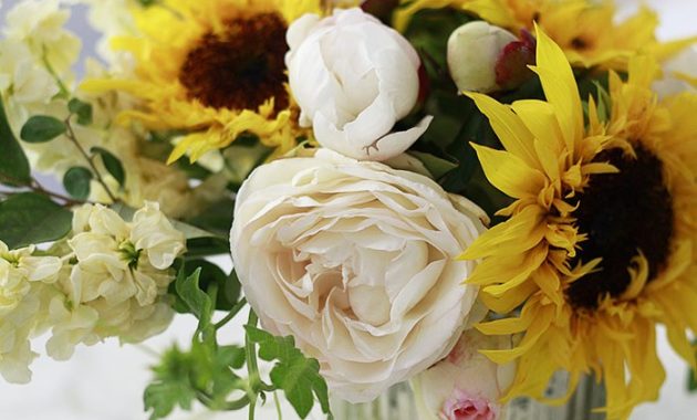 featured 1134