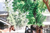 Alisal Ranch: Solvang’s Quintessential California Escape