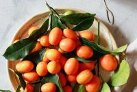 Meet the Kumquat: Your Guide to Eating This Unique Fruit