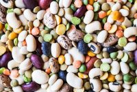 Legumes Decoded Your Essential Guide to Power Packed Plants