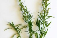 Beyond Tarragon: Flavorful Substitutes