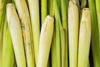 Smart Swaps for Lemongrass