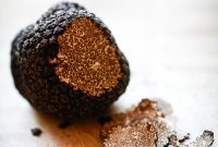 Unearthing the Secrets of Truffles