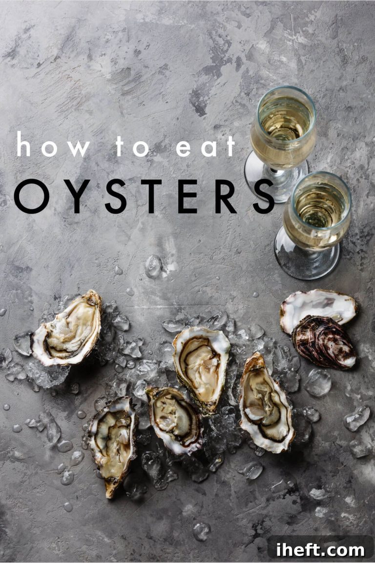 Mastering Oysters Your Guide to Taste and Enjoyment