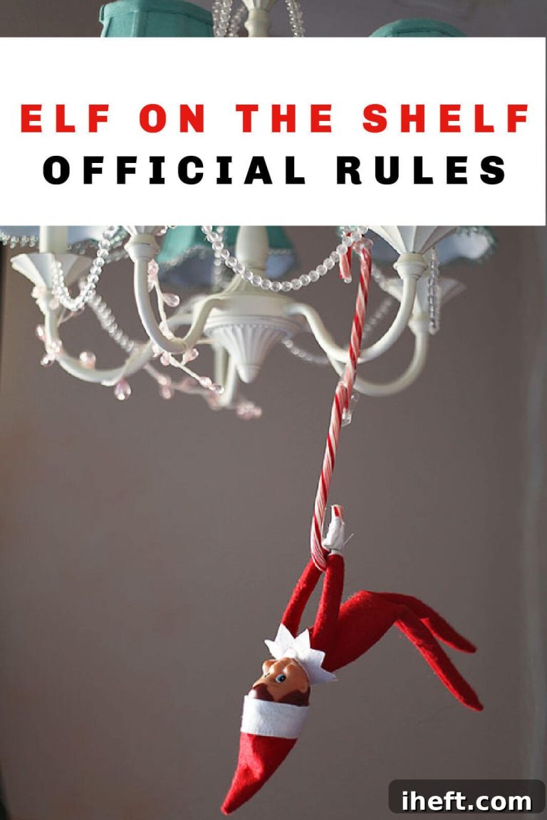 The Elf on the Shelf Playbook