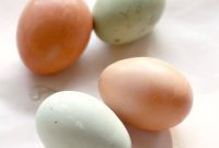 Easter Eggers Laying Beautiful Blue Eggs
