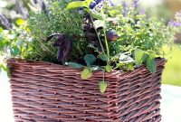 Grow Your Own Kitchen Herbs