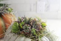 Thanksgiving Harvest: Living Succulent Pumpkin Decor