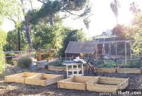 Harvest Abundance with Raised Beds