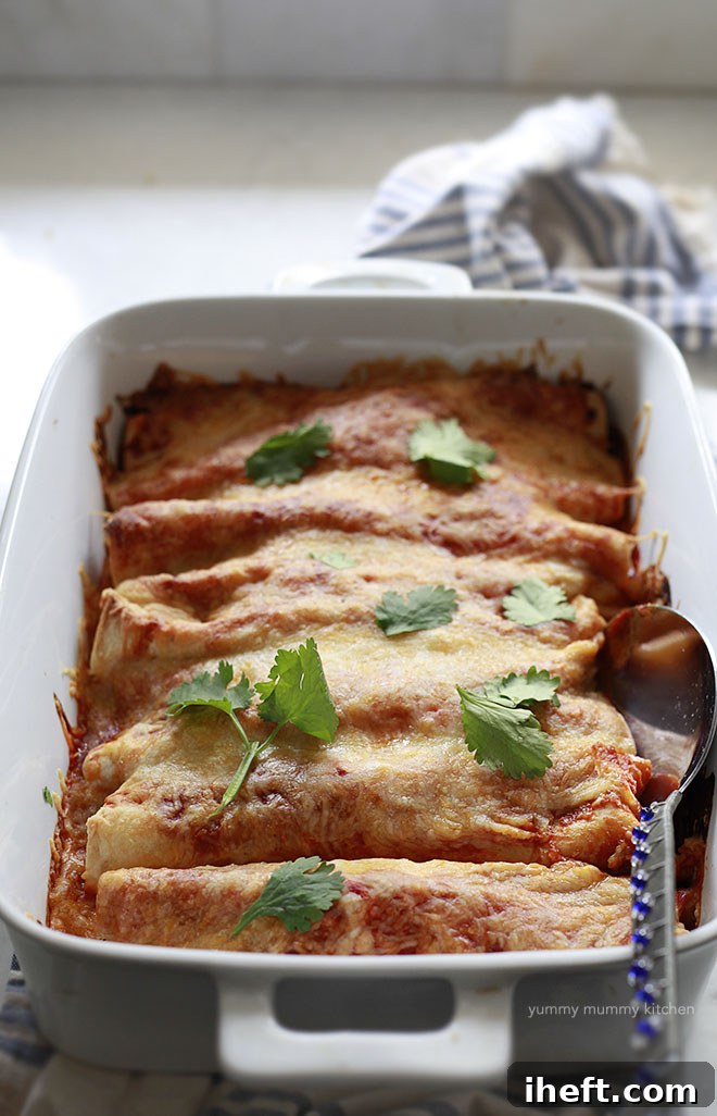 Quinoa Veggie Enchiladas