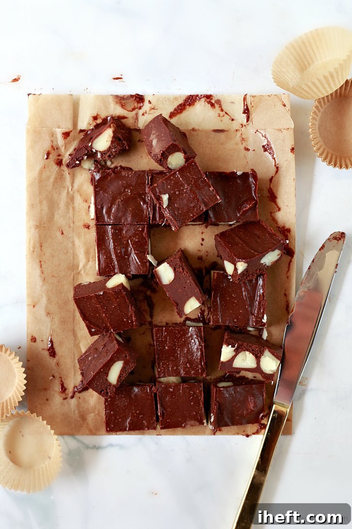 Deliciously healthy freezer fudge with macadamia nuts, perfect for a raw, vegan, paleo, and gluten-free treat!