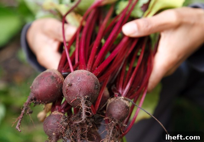 how to cook beets