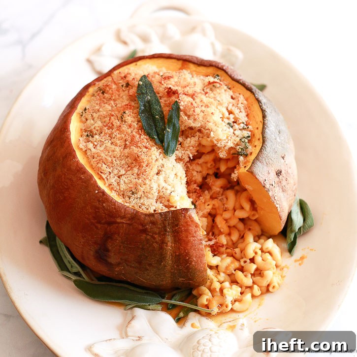 A close-up of the crispy sage panko topping on the baked pumpkin mac and cheese, golden brown and enticing.