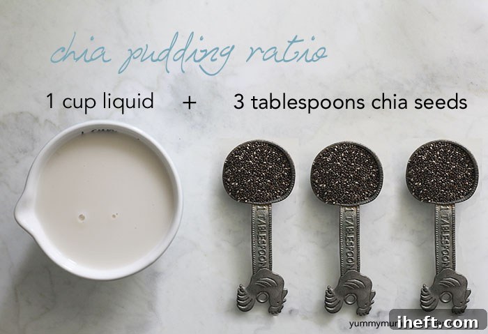 chia pudding ratio