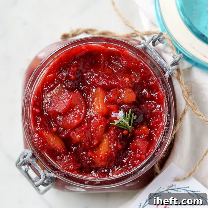 Cranberry Chutney, ready to be served