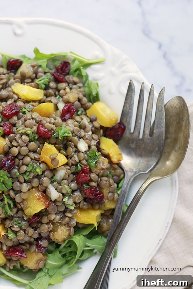 Winter lentil salad with roasted squash, dried cranberries, and fresh parsley in a serving bowl
