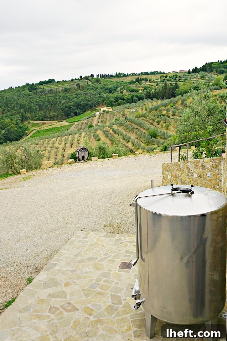 Altiero Winery is a wonderful place to taste wine and olive oil in Tuscany. 