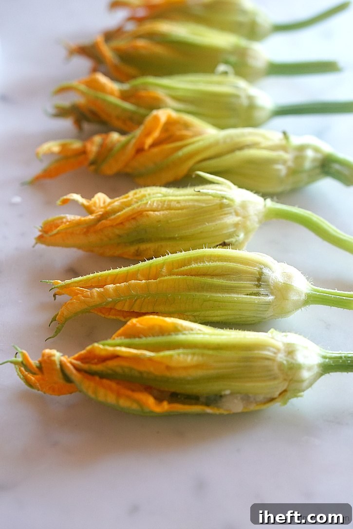 These vegan stuffed zucchini squash blossoms are so delicious and beautiful. 