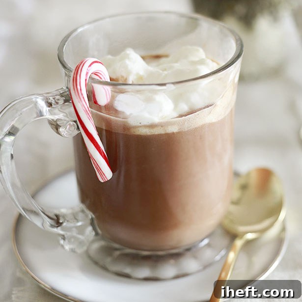 Delicious Skinny Hot Chocolate ready to be served