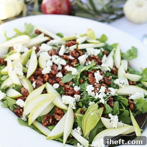 A big beautiful arugula salad with pear slices, candied walnuts, and goat cheese.