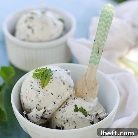 A bowl of homemade mint chip ice cream.