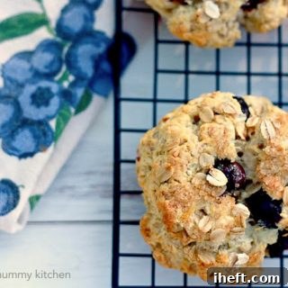 A round oatmeal scone with blueberries.