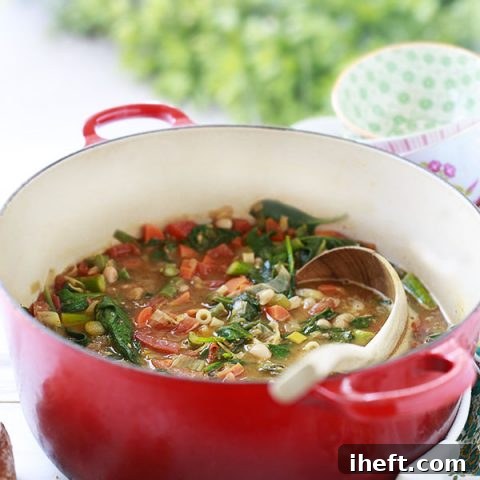 Spring Vegetable Minestrone Recipe