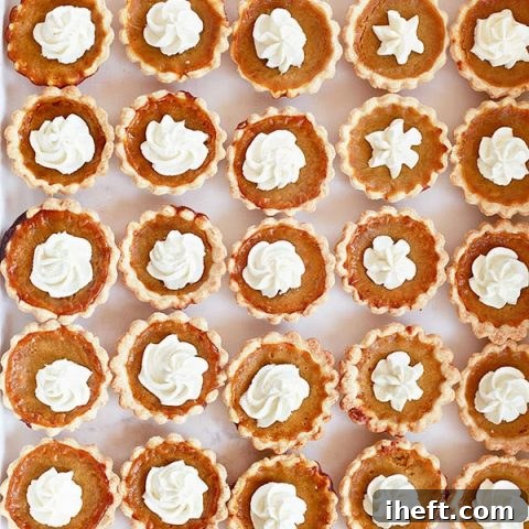Mini Pumpkin Pie Recipe