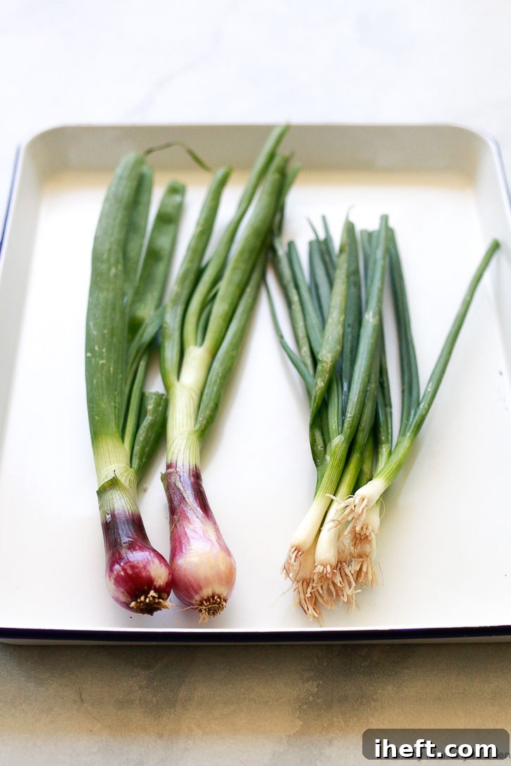 bunches of spring onions and green onions or scallions so you can see the difference between the two.