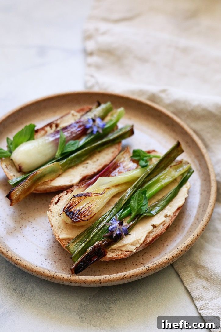 A plate with two pieces of toast topped with hummus, grilled spring onions, and fresh basil for an easy vegan spring lunch or snack.