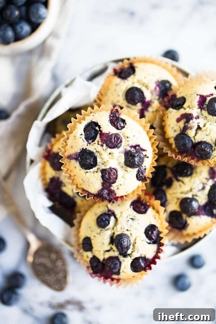 A plate of the best gluten-free vegan blueberry muffins, moist and rich with chia seeds.