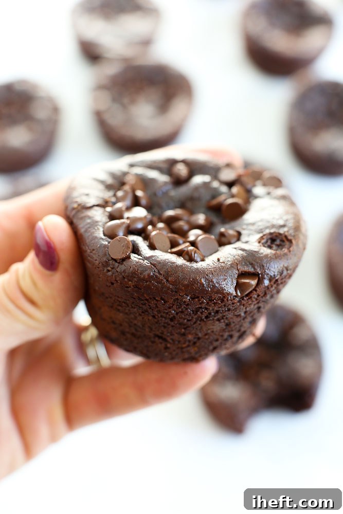 Rich flourless chocolate peanut butter blender muffins, quick and easy to make for a healthy treat.