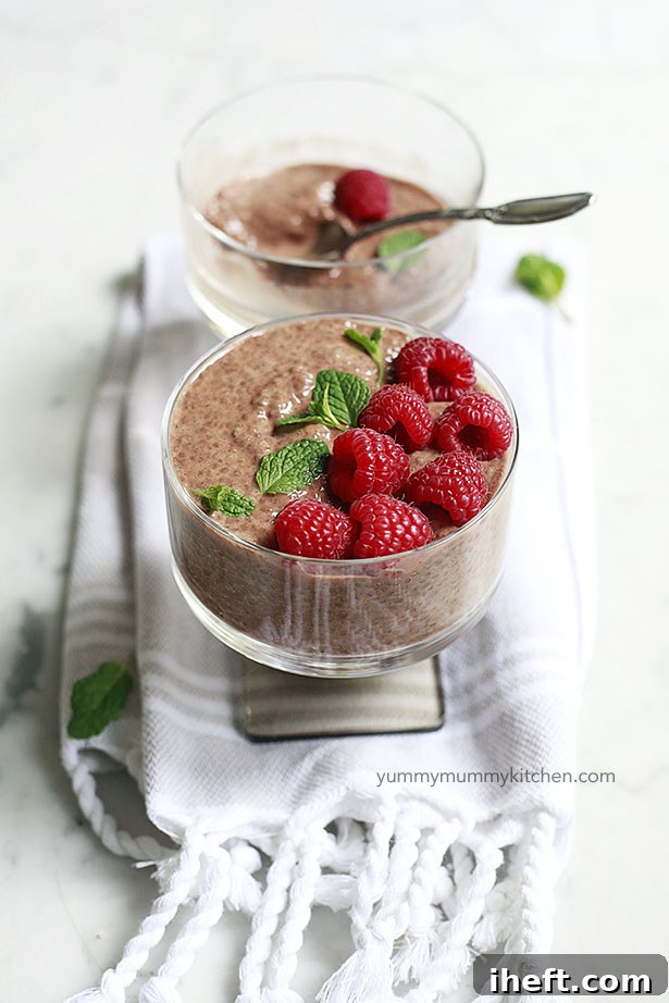 A beautiful bowl of rich chocolate chia seed pudding made with almond milk and topped with fresh raspberries.