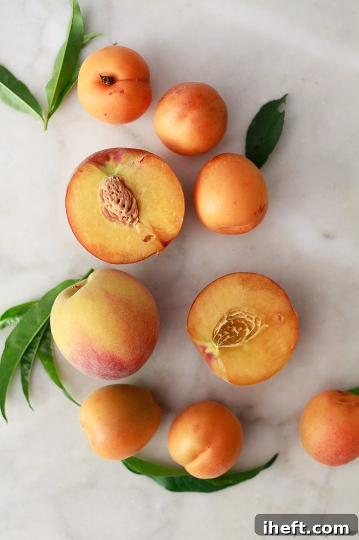 Fresh summer peaches and apricots on a white marble countertop. 
