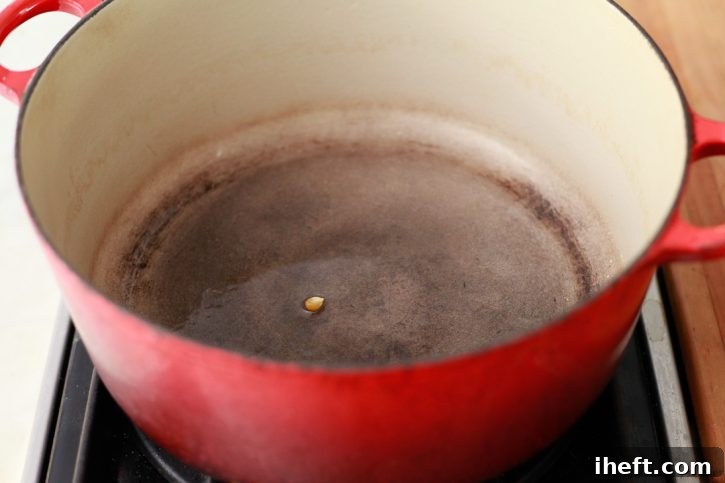 A Dutch oven on the stove, perfectly positioned and ready to make delicious homemade popcorn. 
