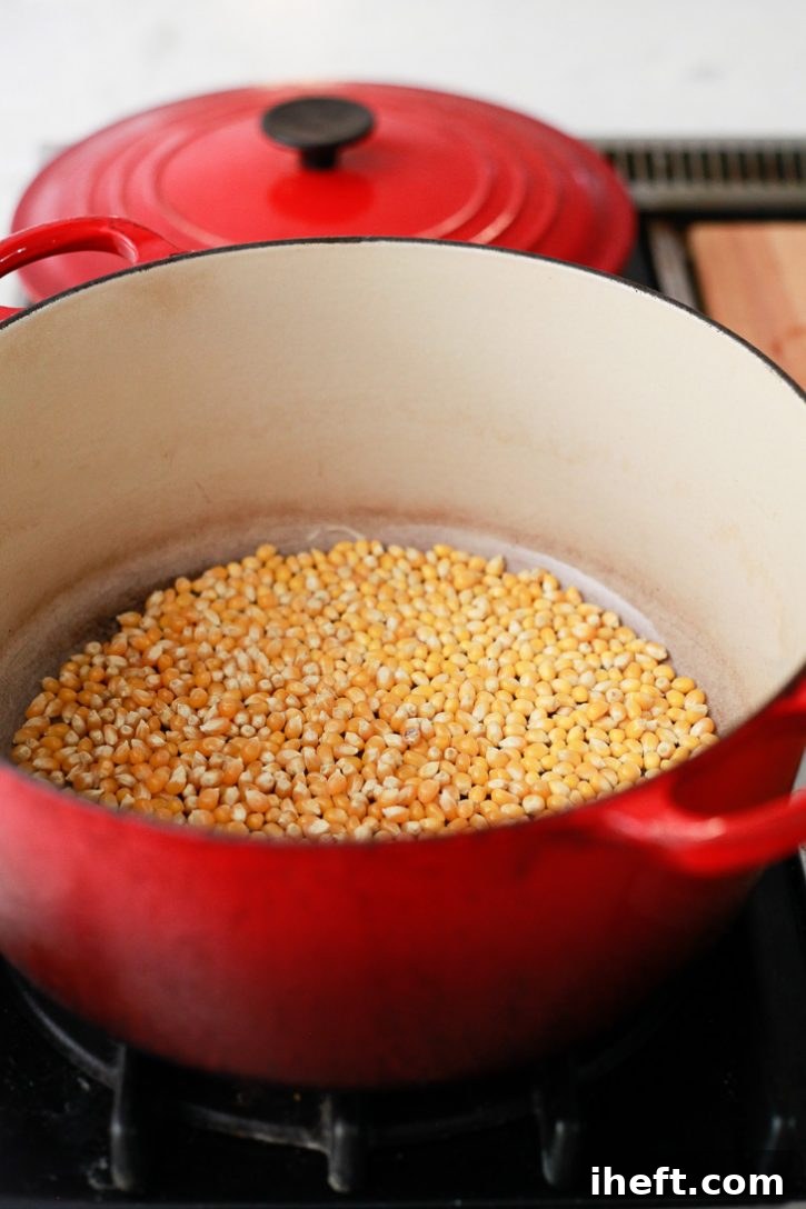 A single layer of unpopped organic popping corn kernels rests at the bottom of a hot pot, ready to burst into fluffy popcorn.