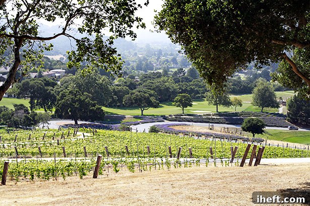 Scenic view of Carmel Valley Ranch with lush greenery and hills