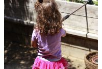 Cultivating Wisdom: Life Lessons from the Garden and a Cracker Barrel Prize