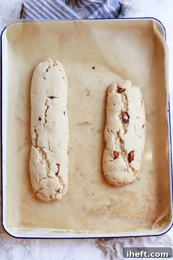 Baked biscotti logs, golden brown and slightly expanded, cooling on a cookie sheet after their first round in the oven.