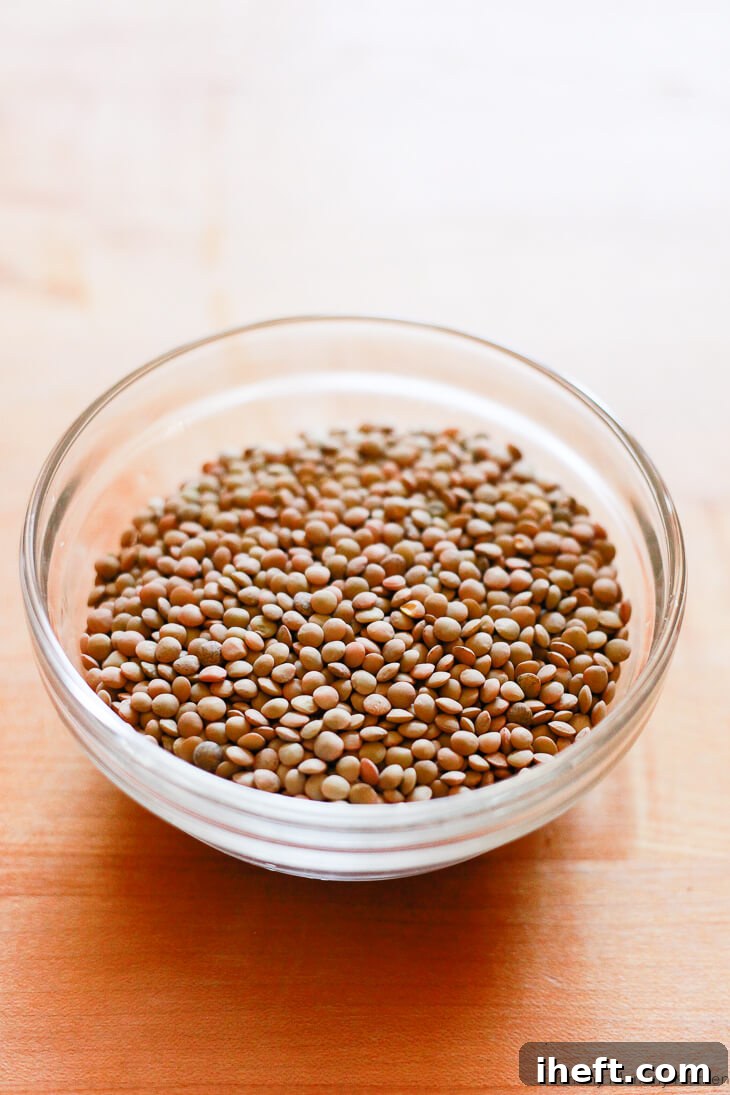 A bowl of dried green lentils is prepared for vegan lentil soup. 