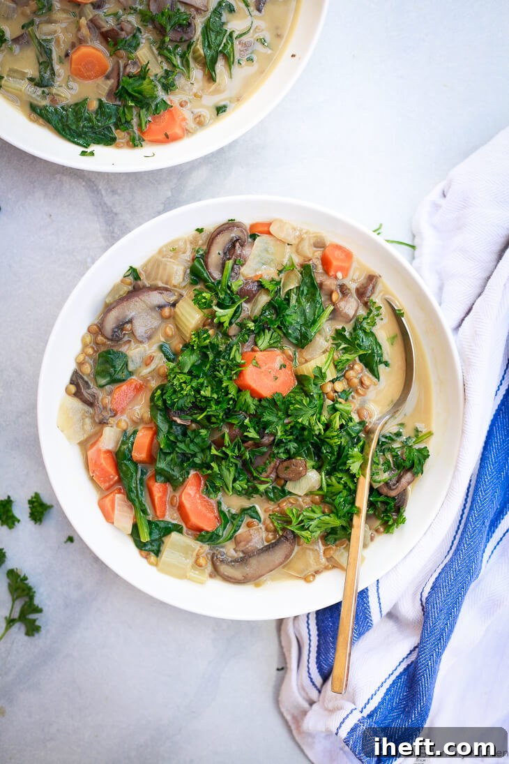 Two bowls of creamy vegan lentil soup with mushrooms, vegetables, and parsley. 