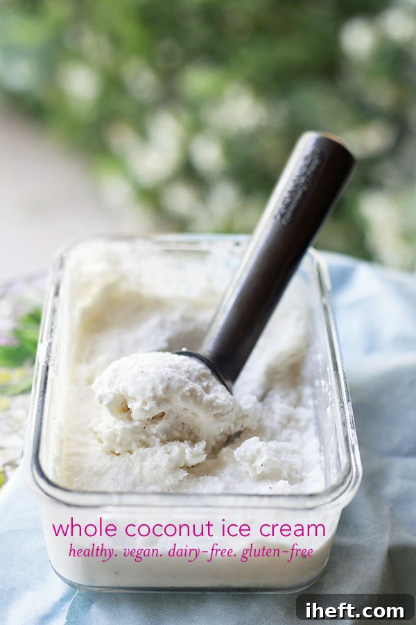 Gourmet vegan coconut ice cream on a beautifully styled footer