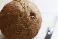 Mastering the Art of Coconut Opening
