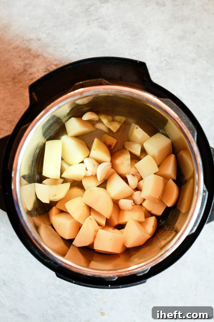 Raw potatoes, garlic, and water in an Instant Pot pressure cooker ready to make mashed potatoes. 