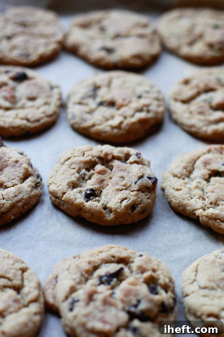 A cookie sheet showcasing a batch of perfectly baked gluten free vegan chocolate chip cookies, demonstrating their appealing texture and golden hue.