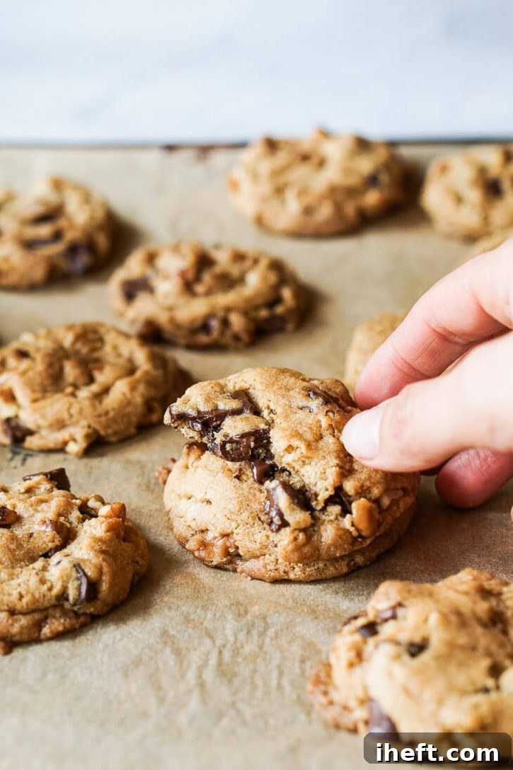 A hand reaches for half of a soft and chewy vegan chocolate chip cookie, revealing luscious, melty chocolate and crunchy walnuts inside. This cookie epitomizes the best vegan chocolate chip cookies.