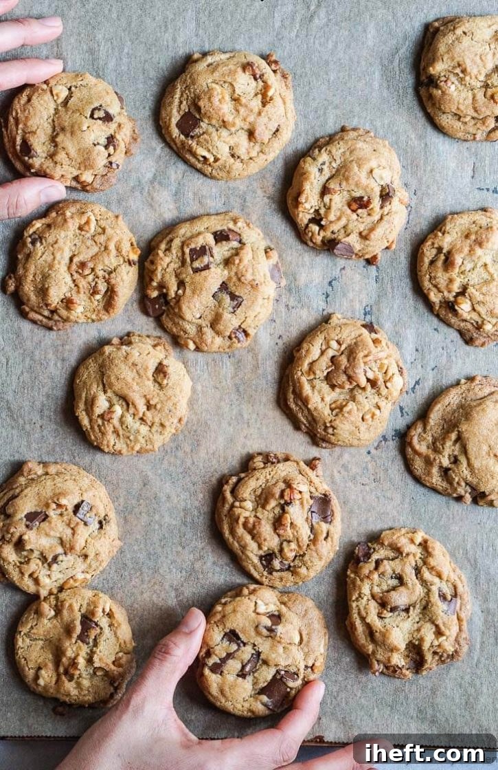 A full cookie sheet brimming with freshly baked, perfectly formed vegan chocolate chip and walnut cookies, golden and inviting.