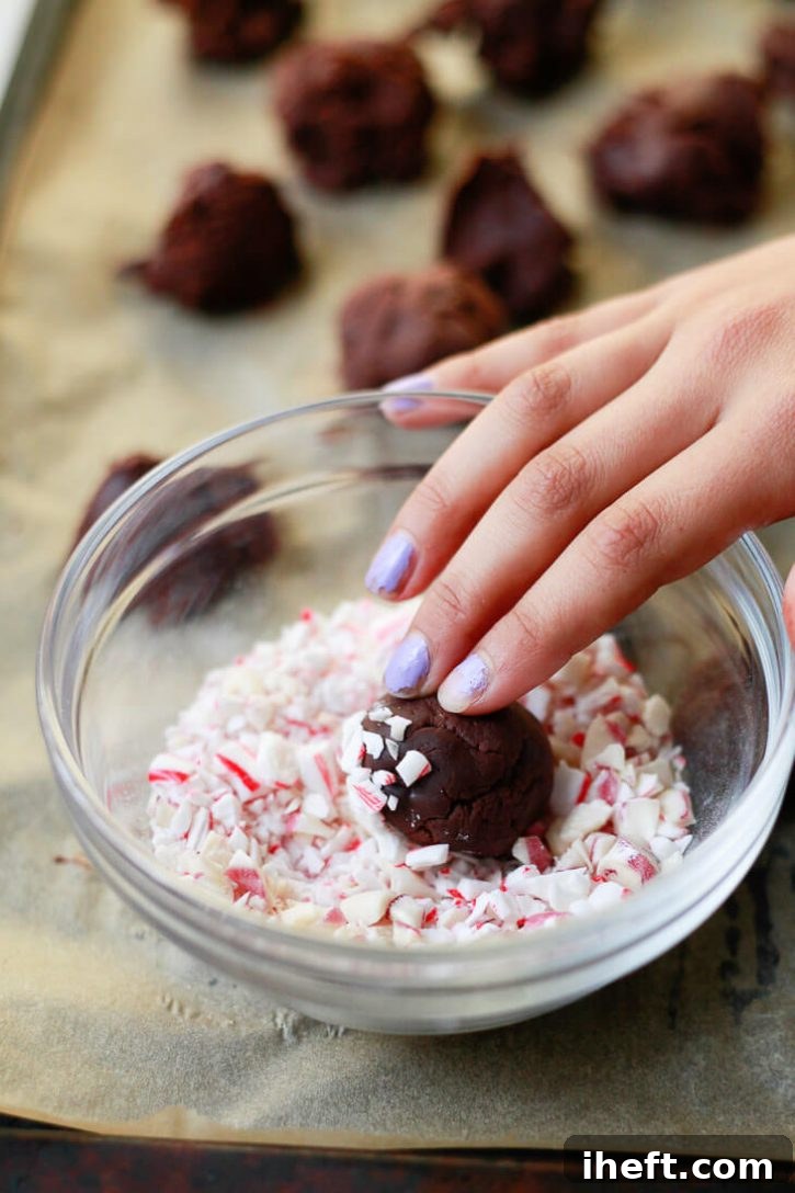 A homemade dark chocolate truffle gets rolled in crushed candy canes. 