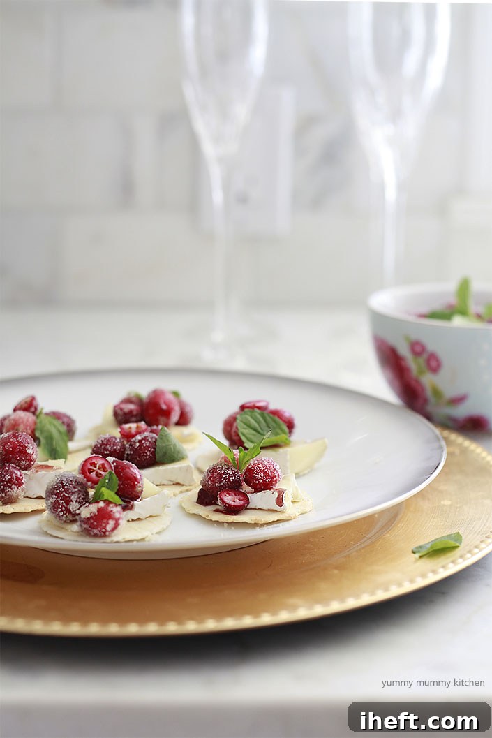 Sugared cranberries on top of a slice of soft cheese and a cracker are a beautiful holiday appetizer or Christmas or New Year's Eve. 